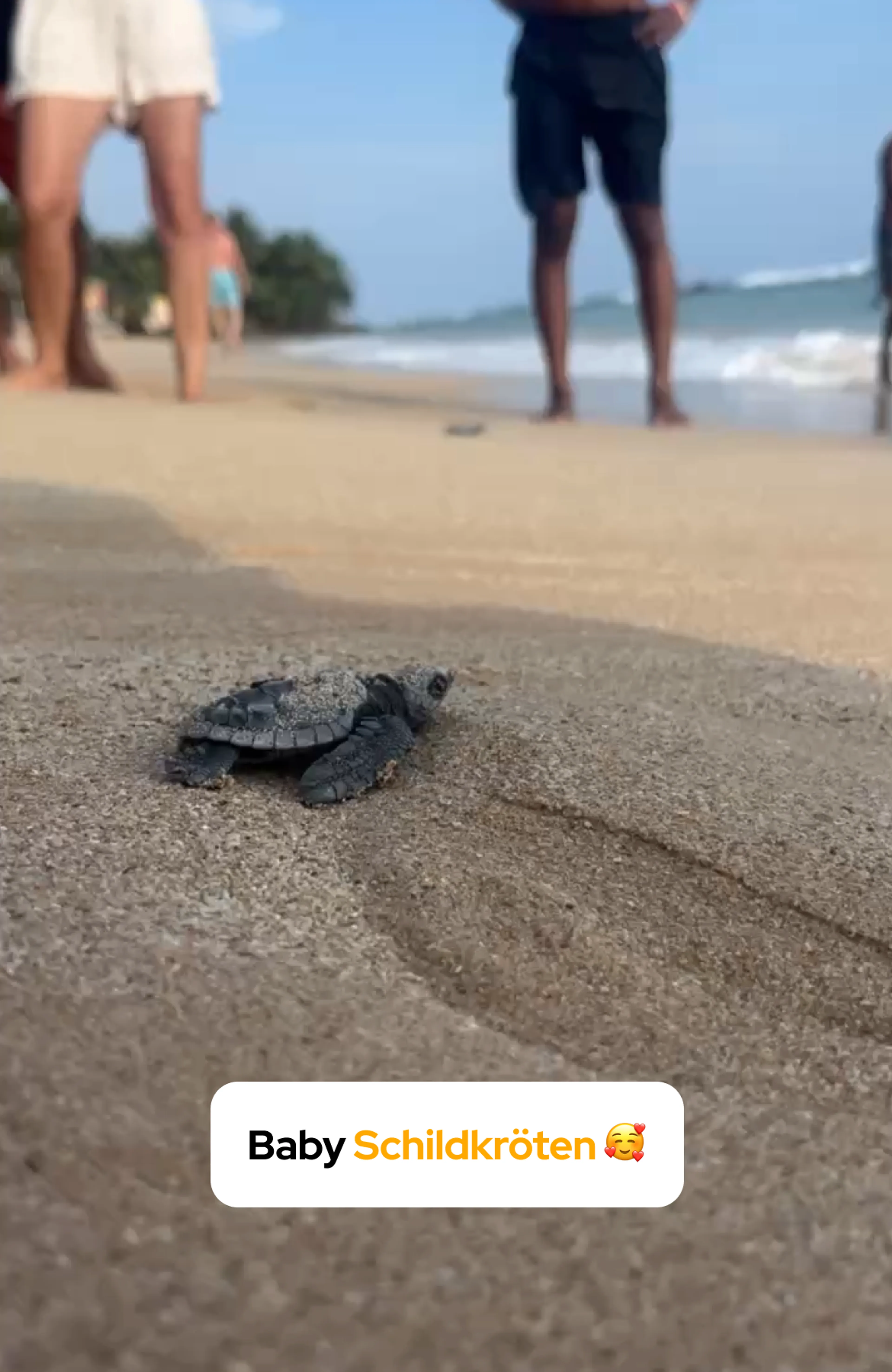 Sri Lanka 18